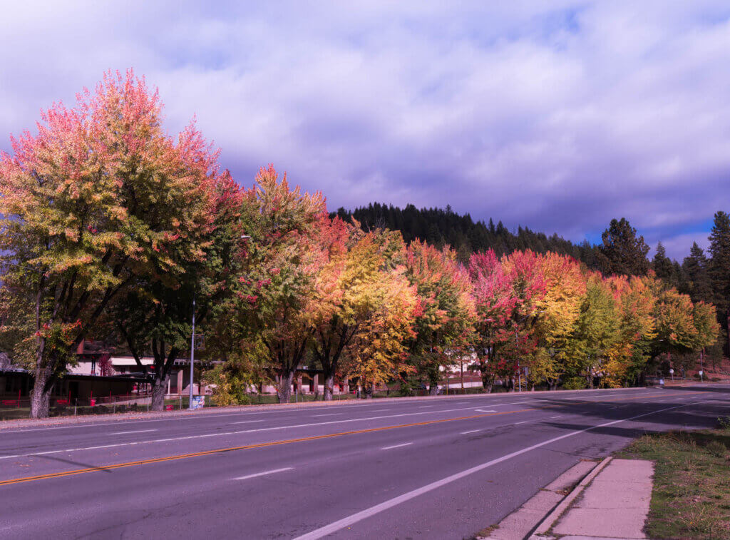 Fall Colors at Quincy High School
