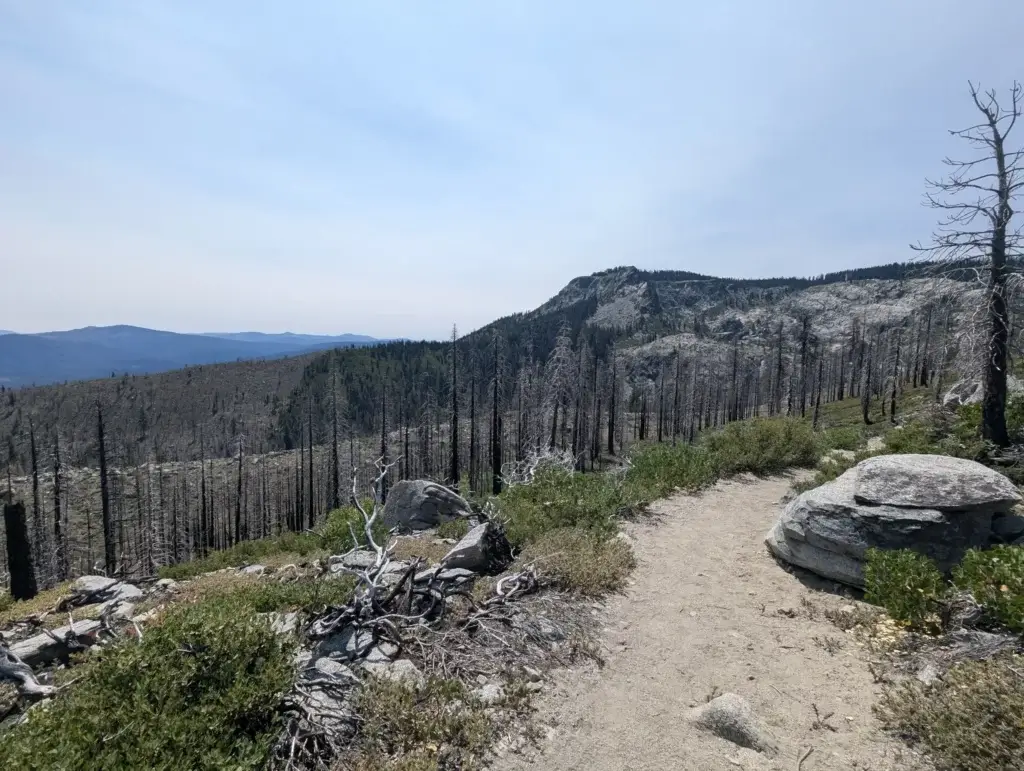 Gold Lake Trail via Silver Lake