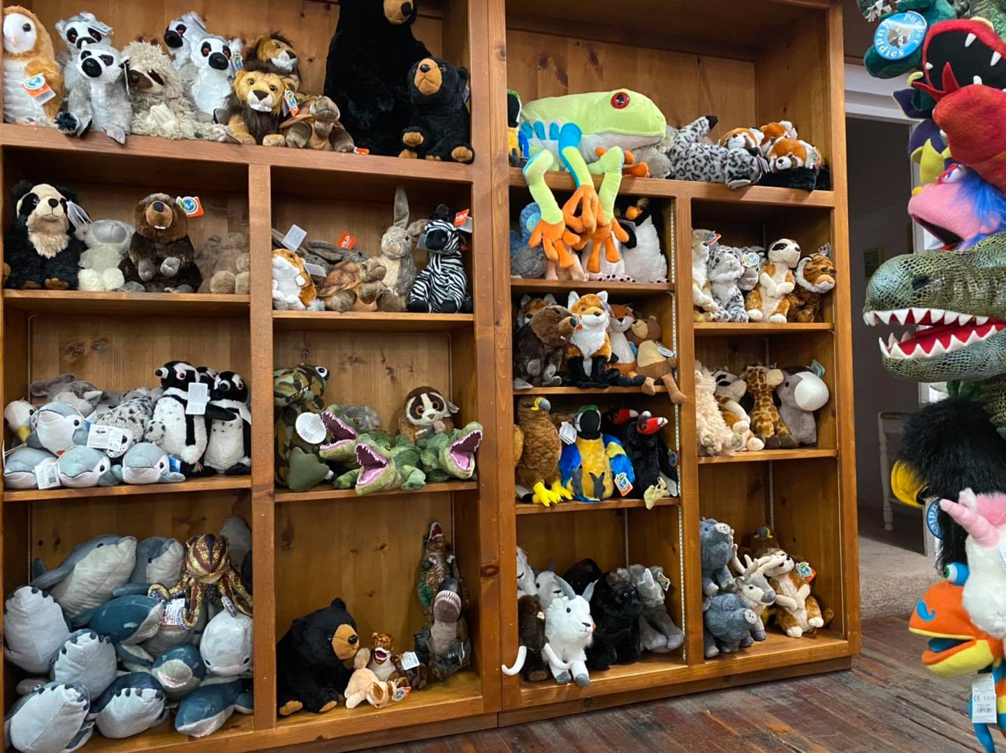 Haskins Valley Campground Plumas County California