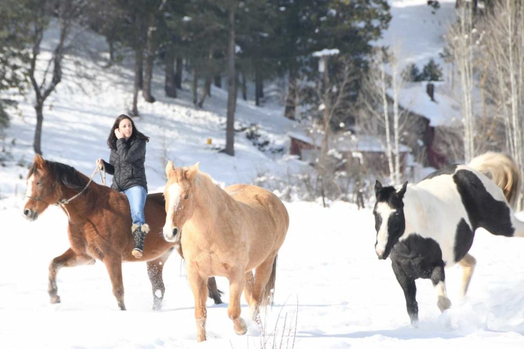 bareback horseback rider in the snow