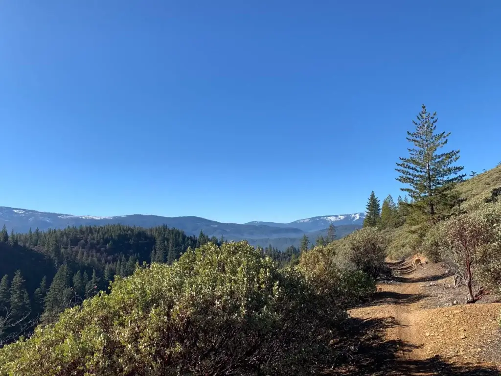 Berry Creek Trail