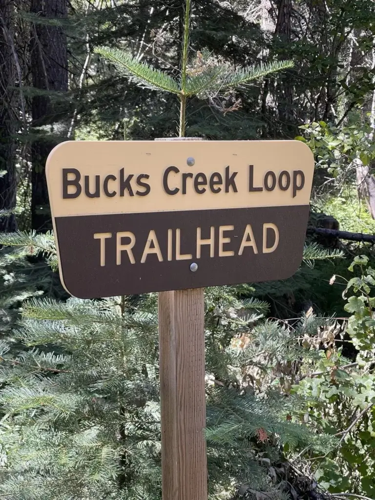 Bucks Creek Loop