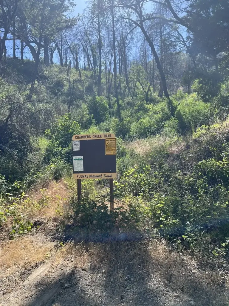 Chamber Creek Trailhead