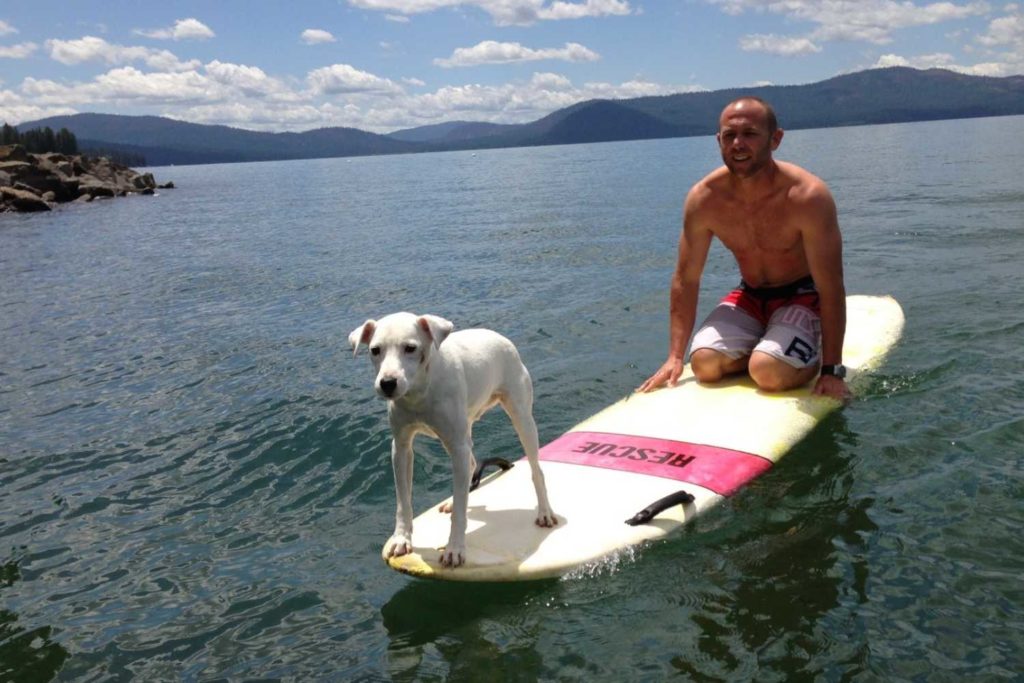 Paddle Boarding on Lake Almanor with dog in Northern California