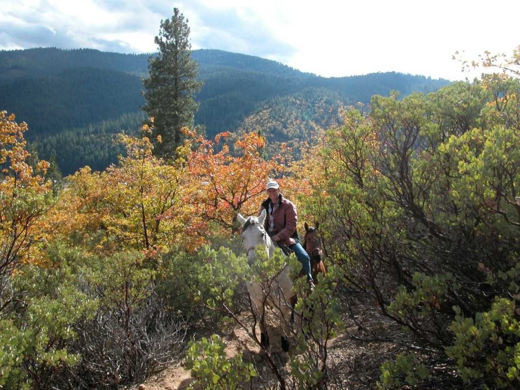 Horseback riding Feather River College Trail with fall colors
