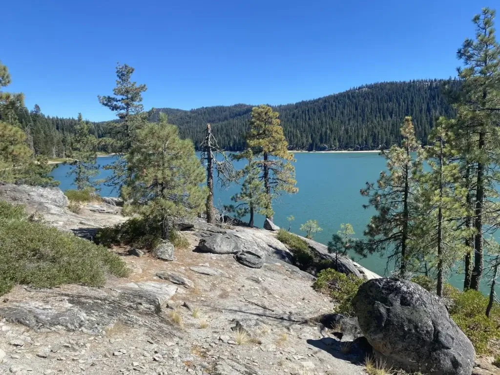 Mill Creek Trail Bucks Lake View