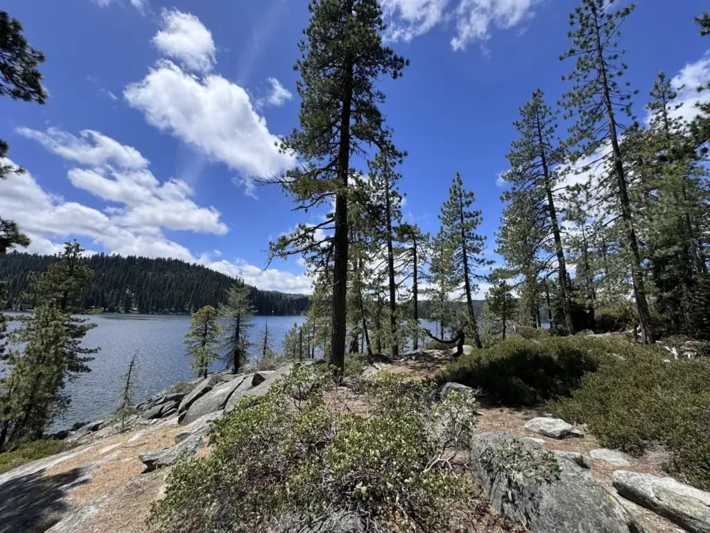 Mill Creek Trail View of Bucks Lake and trail
