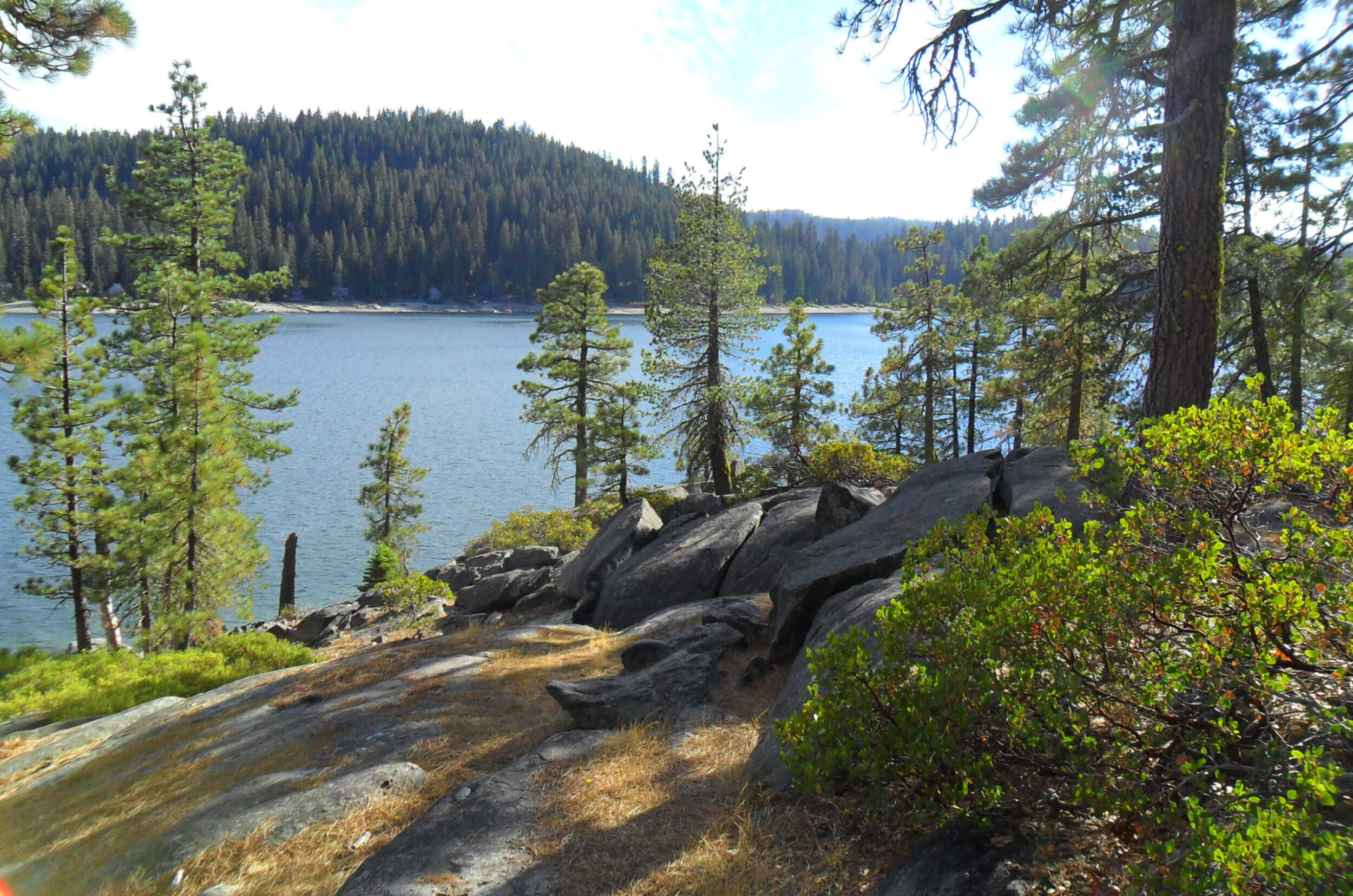 Mill Creek Trail at Bucks Lake