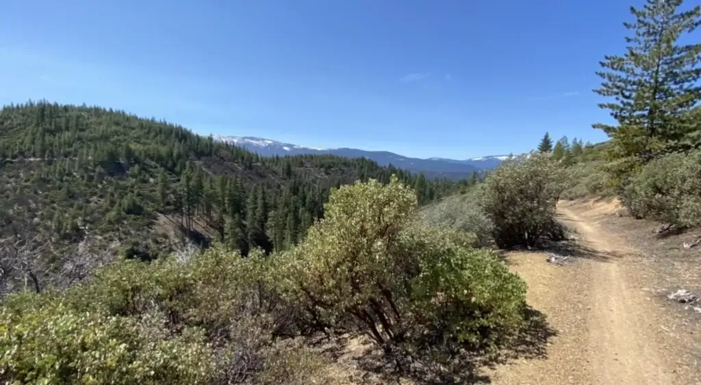 Trail and outlook on berry Creek Trail
