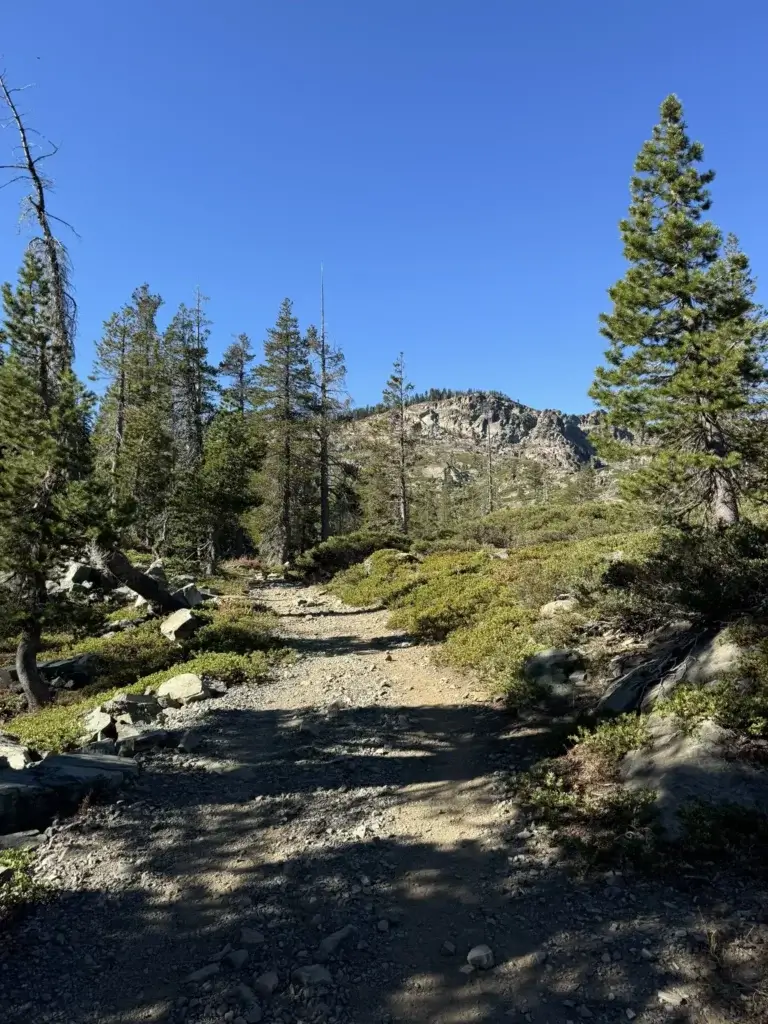 Trailhead
