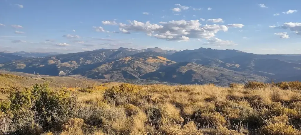 Views at Berry Creek Trail