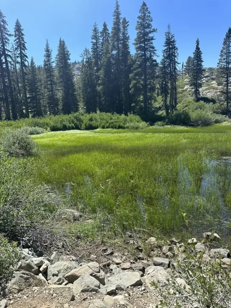 Wetlands at Round Lake Loop