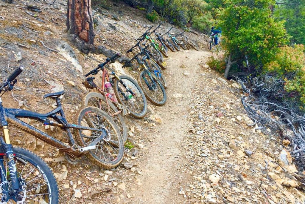 Mountain bikes on trail in Northern California