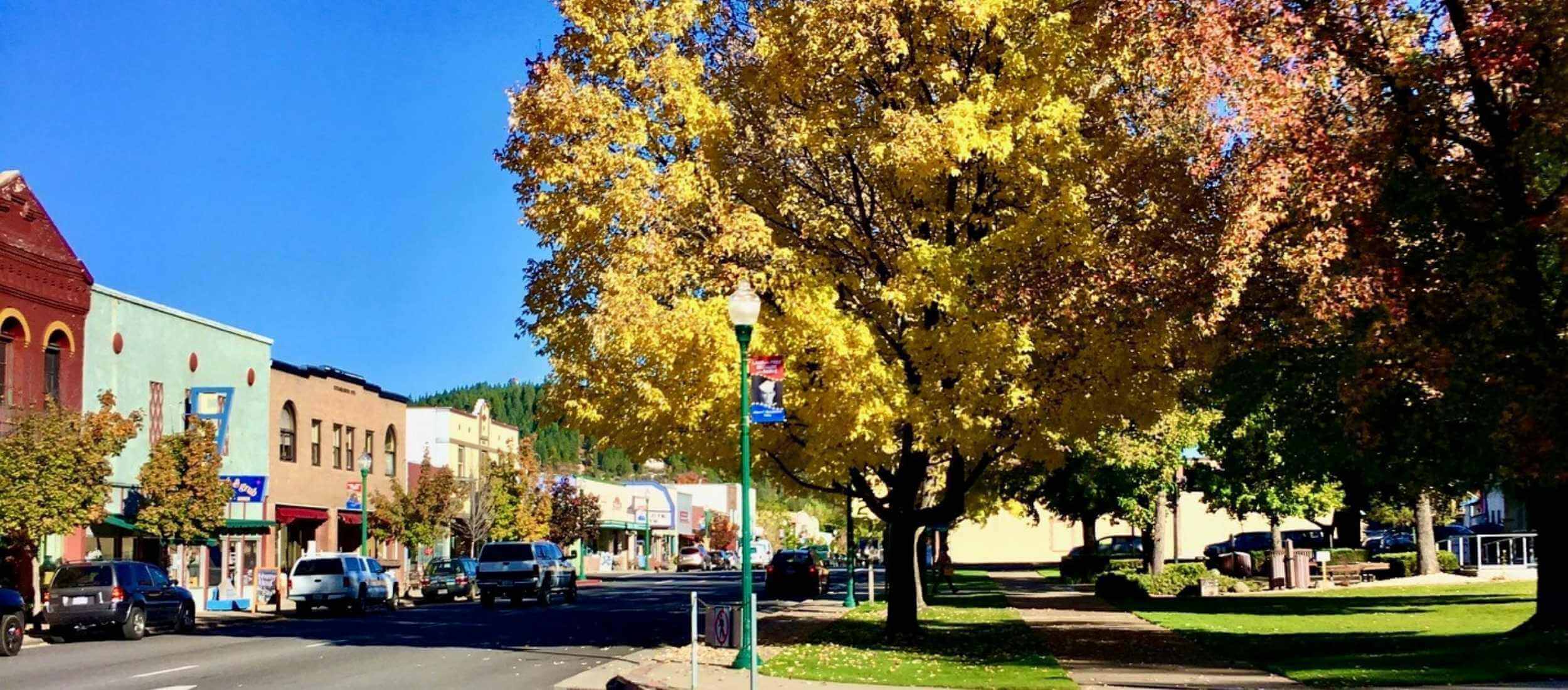 downtown quincy california in the fall