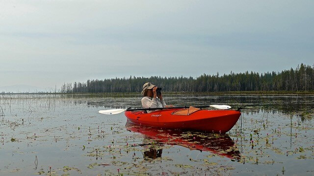birding from kayak at Lake Almanor