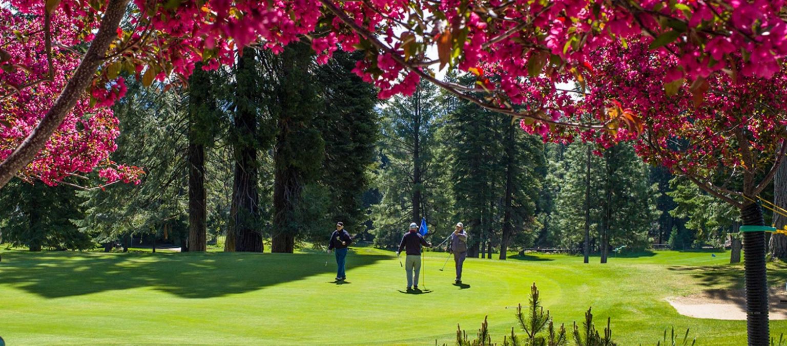 Golf Courses in Northern California Plumas County California