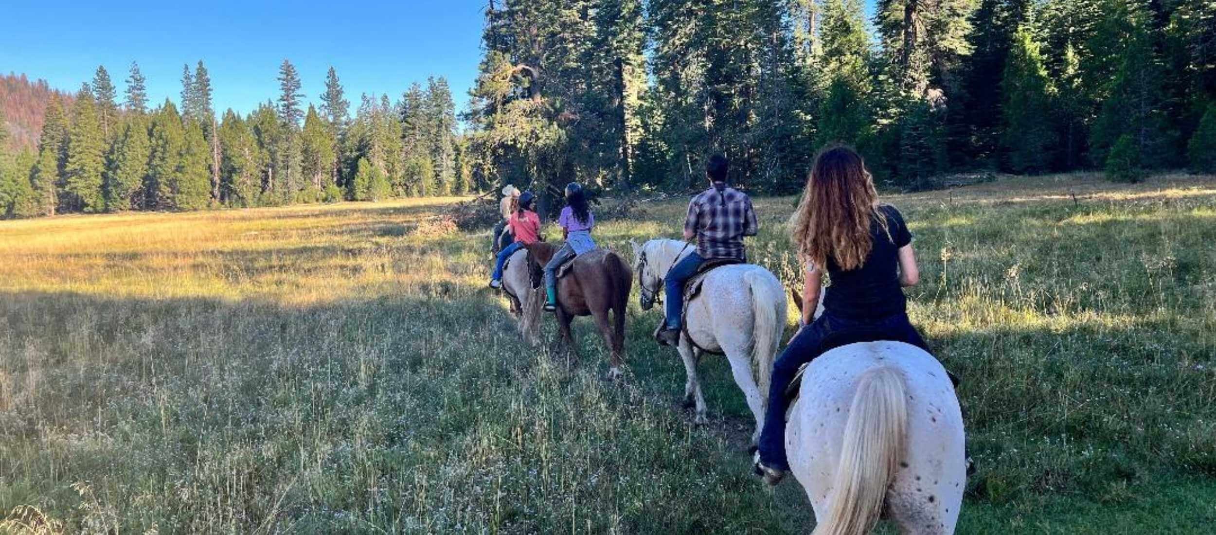 group trail ride at highlands ranch resort