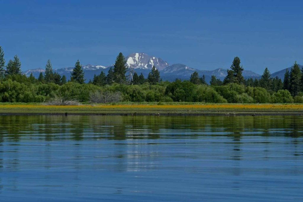 lake almanor in summer with lassen peak in distance