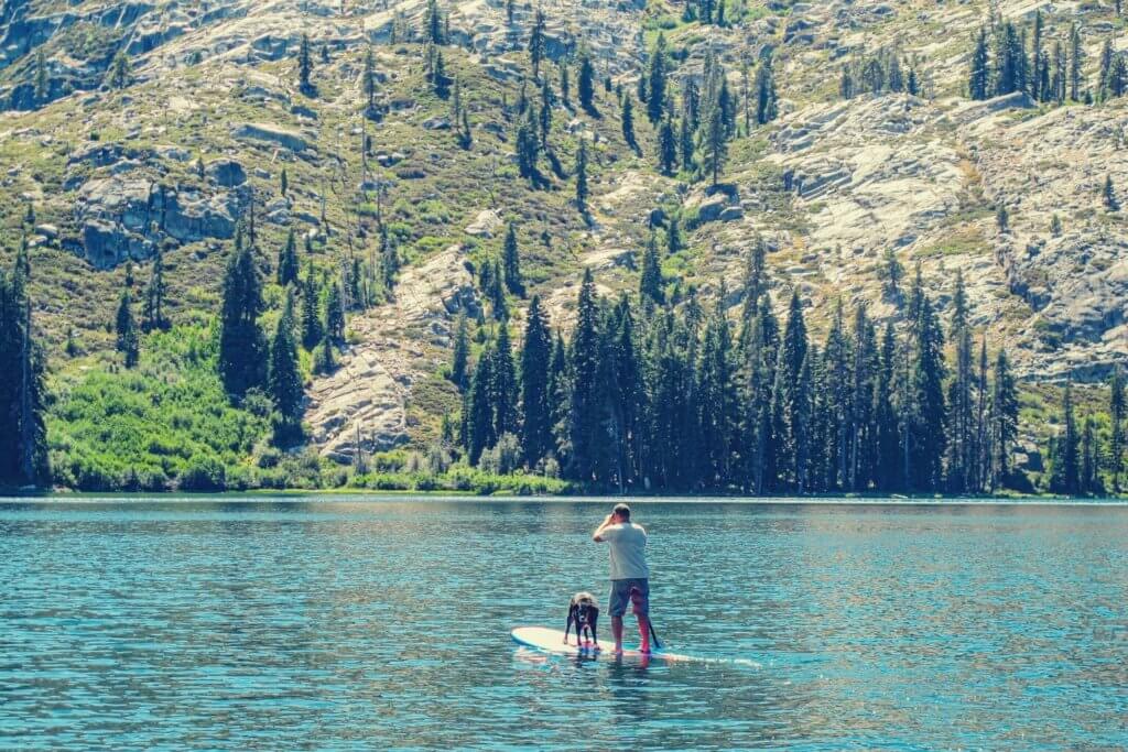 man paddle boarding with dog on lake in plumas county