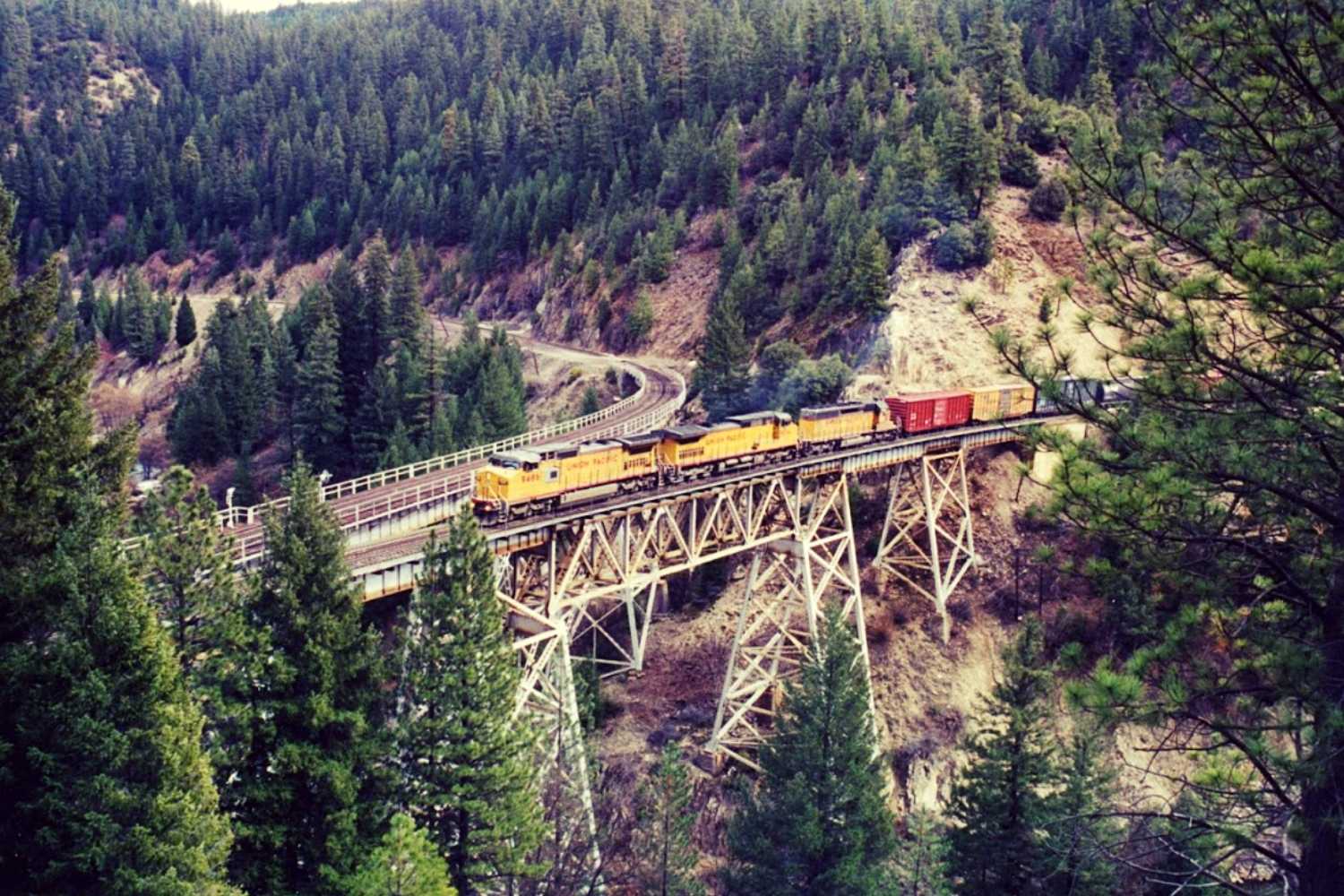 trains in feather river canyon at keddie wye