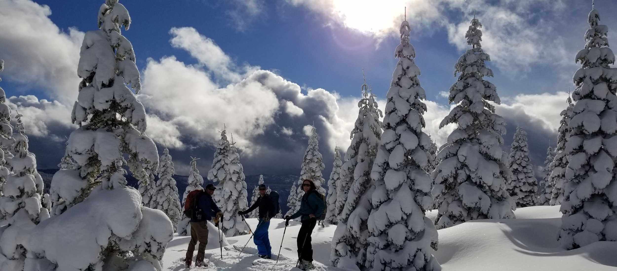 3 skiers and top of mountain