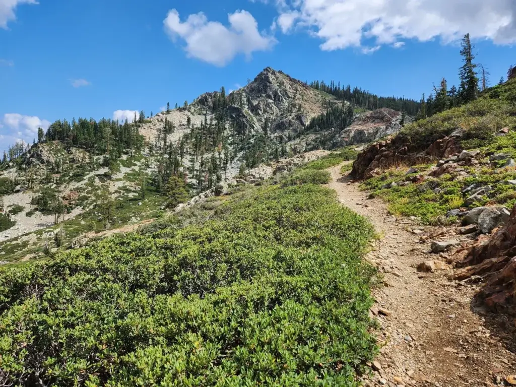 Eureka Peak Loop Trail