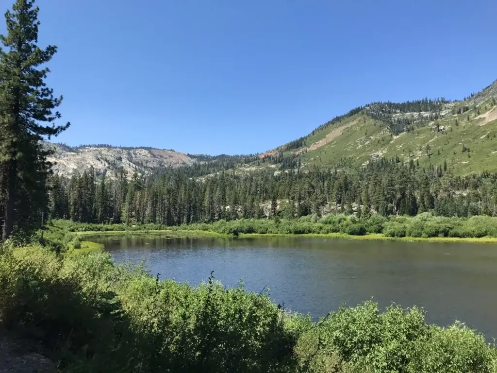 Grass Lake