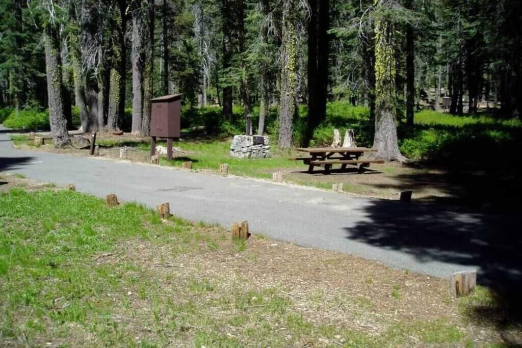 Picnic tables and road at Haskins Valley Campground