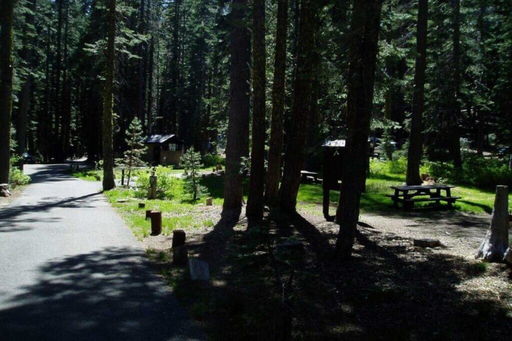 Campsites at Haskins Valley Campground