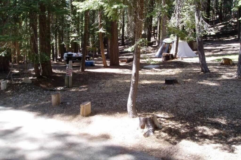 Haskins Valley Campground with tent