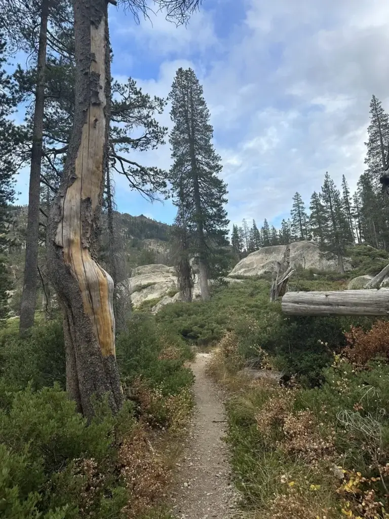 Jameson Lake Trail