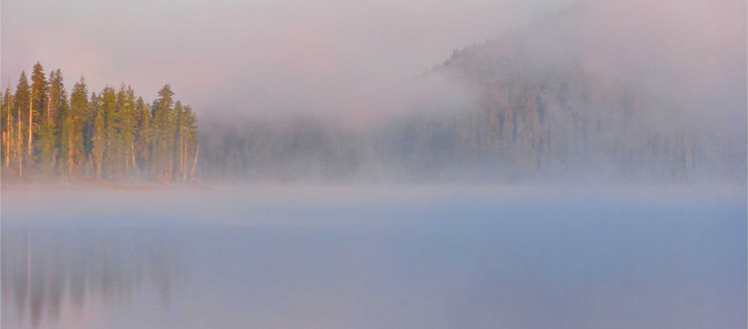 Early morning Juniper Lake blanketed in mist