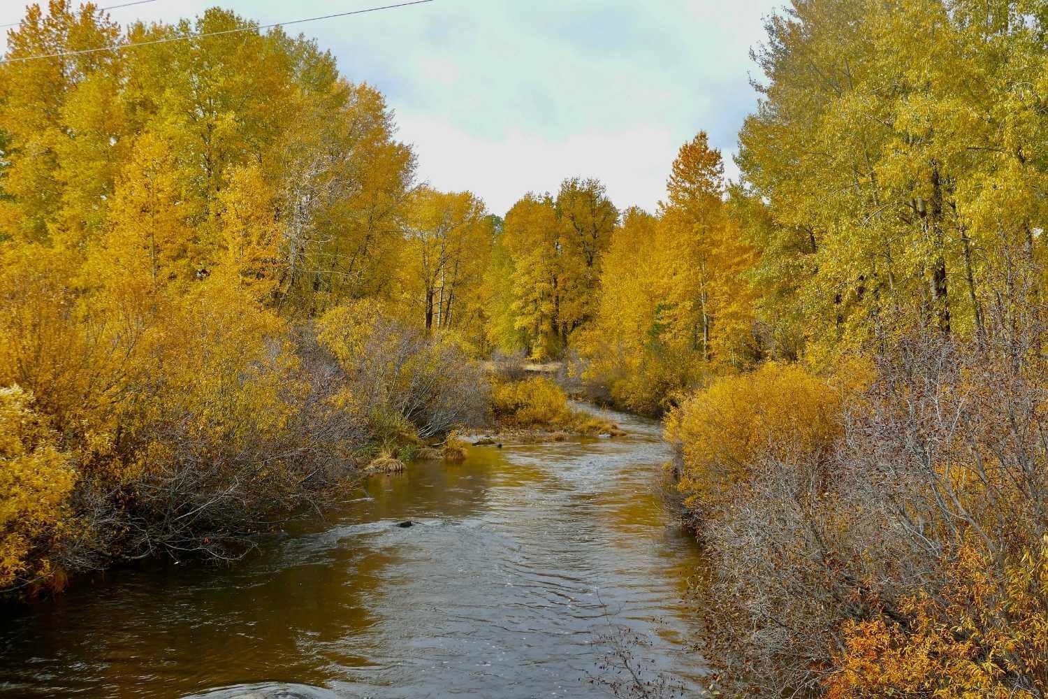 fall colors along indian creek