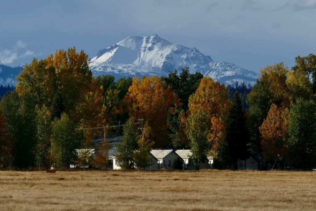 fall foliage covered trees with lassen peak in distance