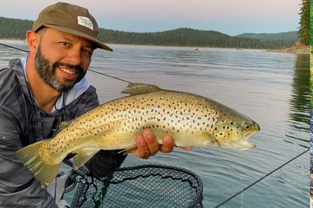 Lake Almanor Brown trout in Northern California