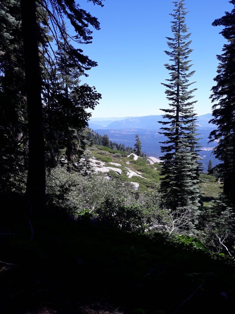view of PCT trail near bucks lake wilderness