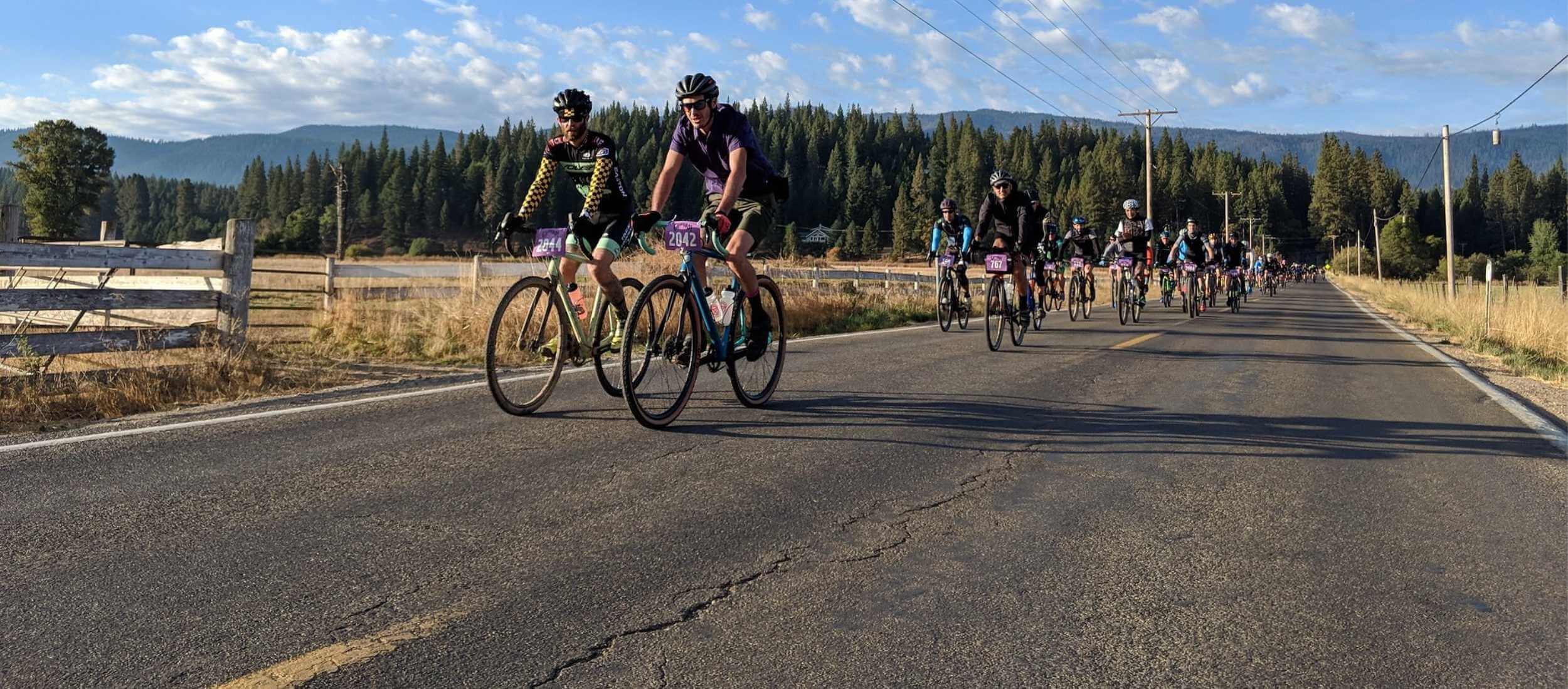 Cyclists on a rural road in Northern California
