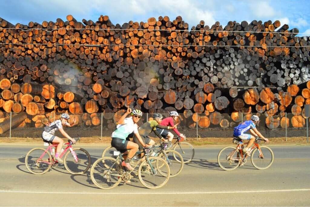 Cyclists ride in Quincy, California Cut trees stacked waiting to be milled