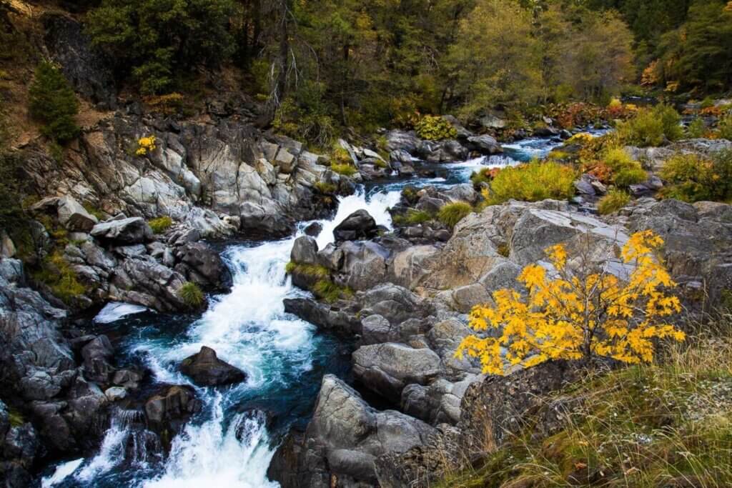 Fall color along Spanish Creek in Plumas County