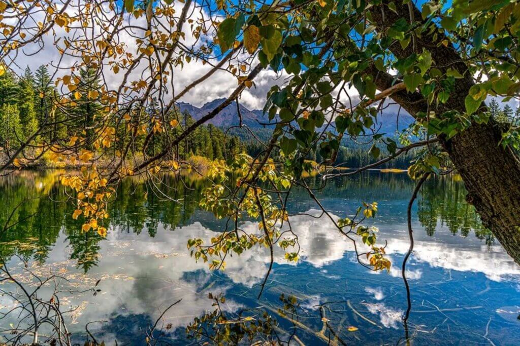 Manzanita Lake with leaves and reflection