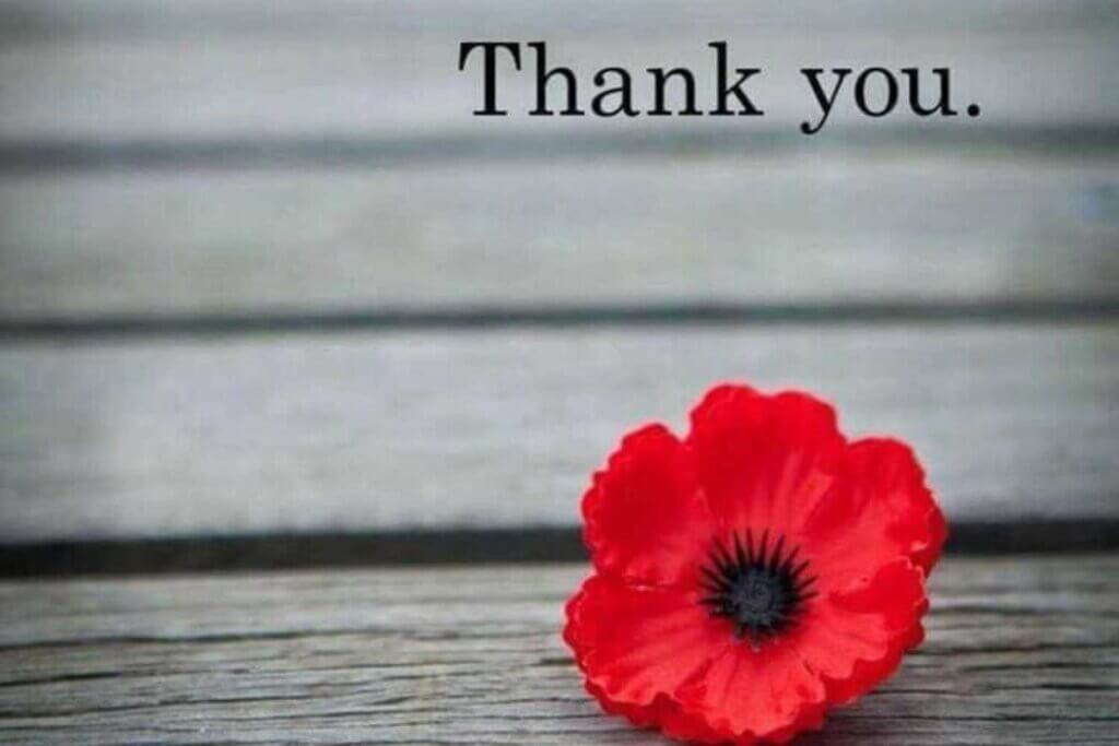 Thank You text with Red Poppy