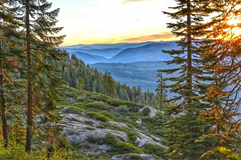 Plumas National Forest Plumas County California