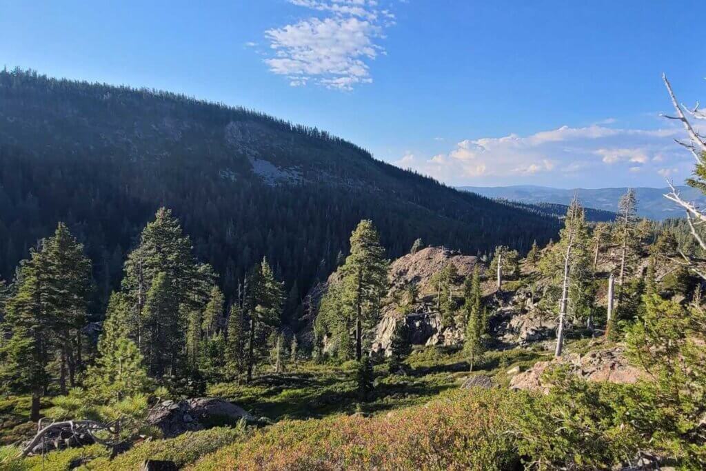 A Lakes Basin view from Fern Falls Trail in Plumas County