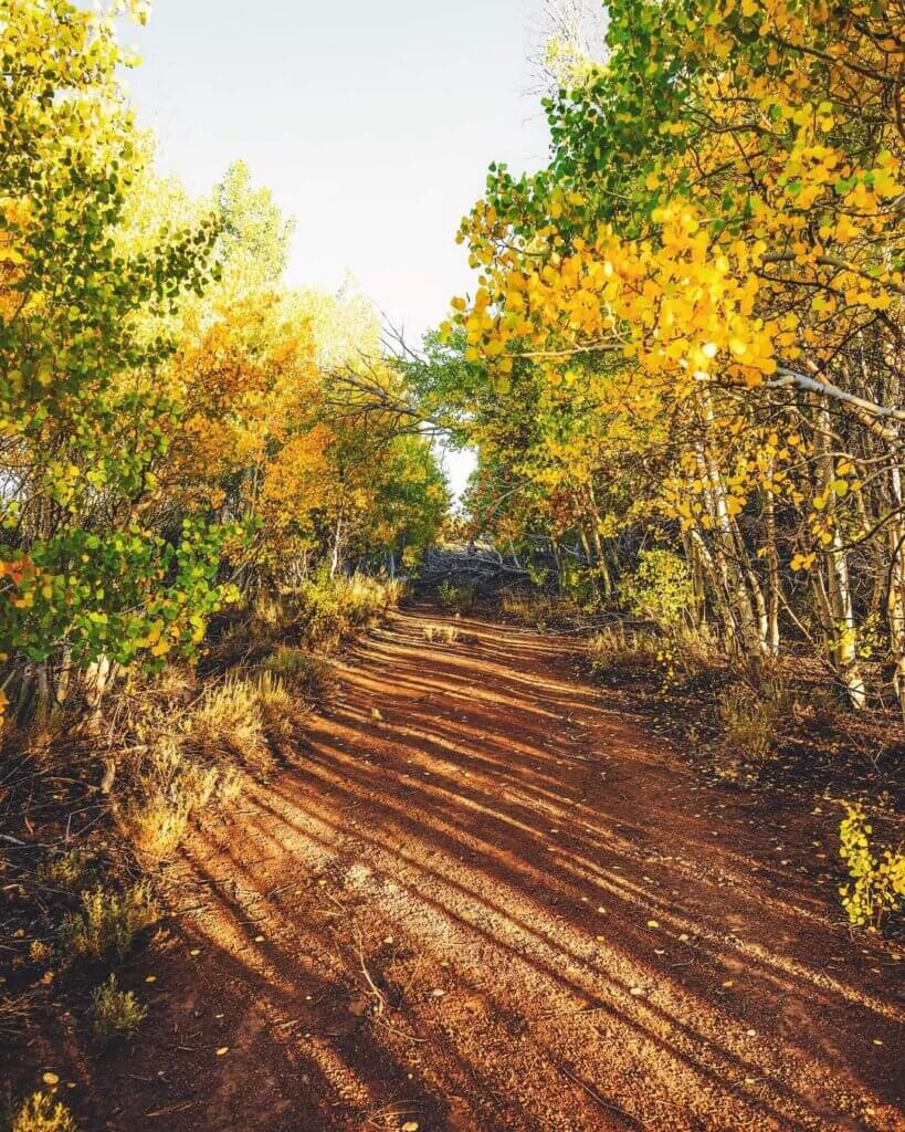 Lake loop trail