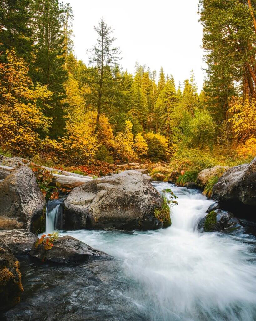 Bucks lake wilderness