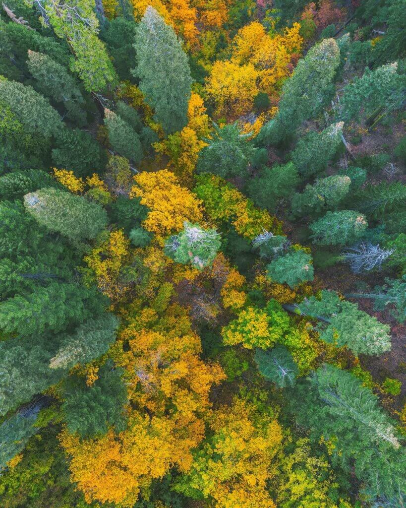 Bucks lake wilderness