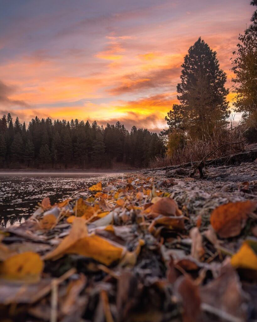 Lake almanor