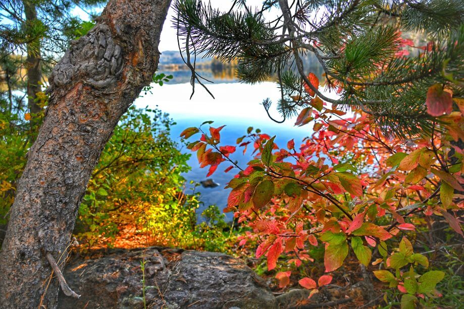 Fall Color of reds and yellow at Gold Lake