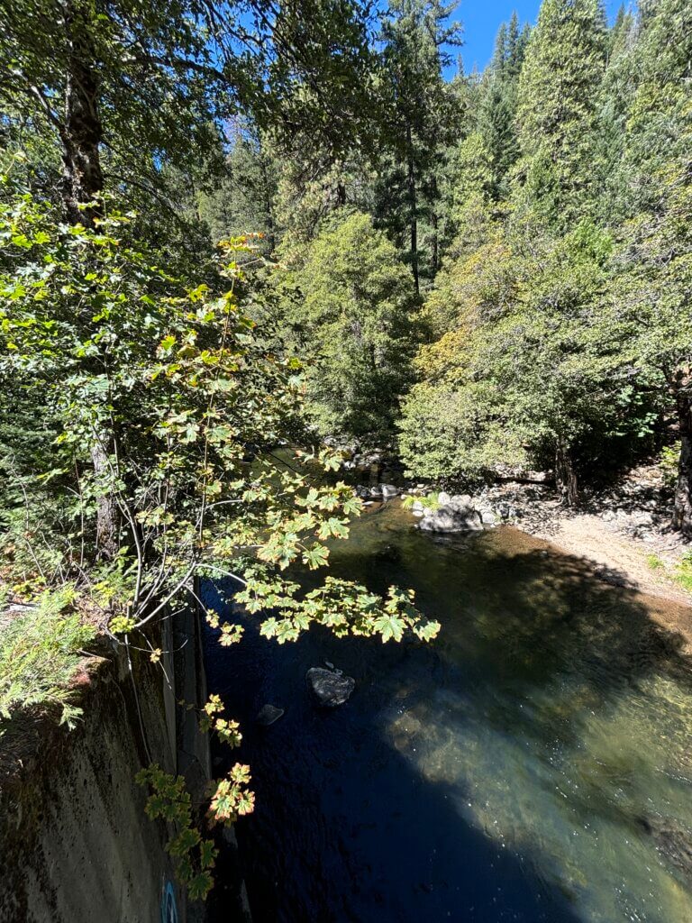 Alder Campground