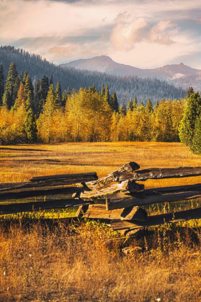 Experience California Fall Colors with the Aspens near Mill Creek. Meadow framed be split rail fence and Apsens turning yellow in the back ground.